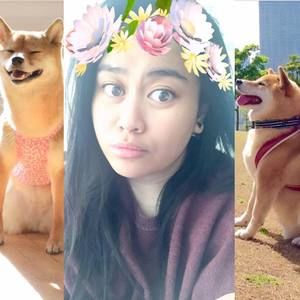 Meet your Posher, Kate